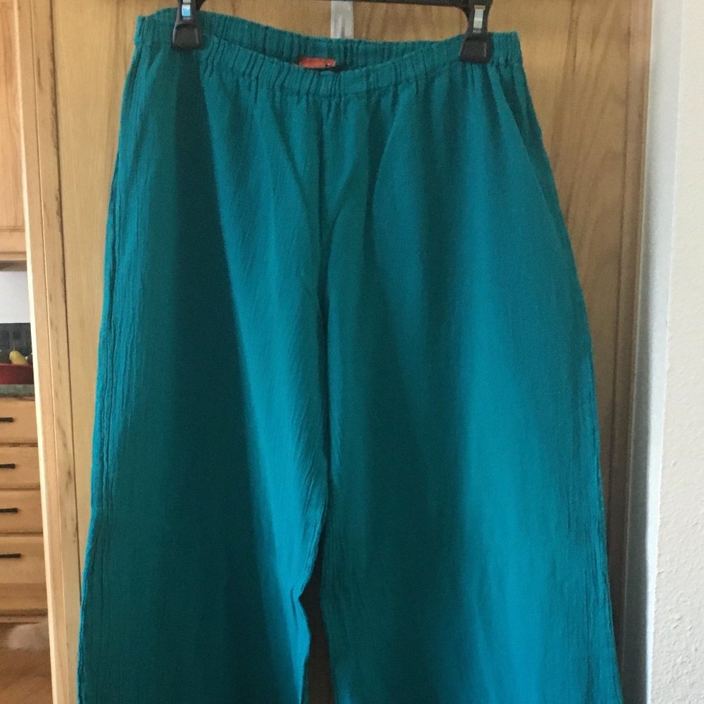 OH MY GUAZE TEAL PANTS Size 2